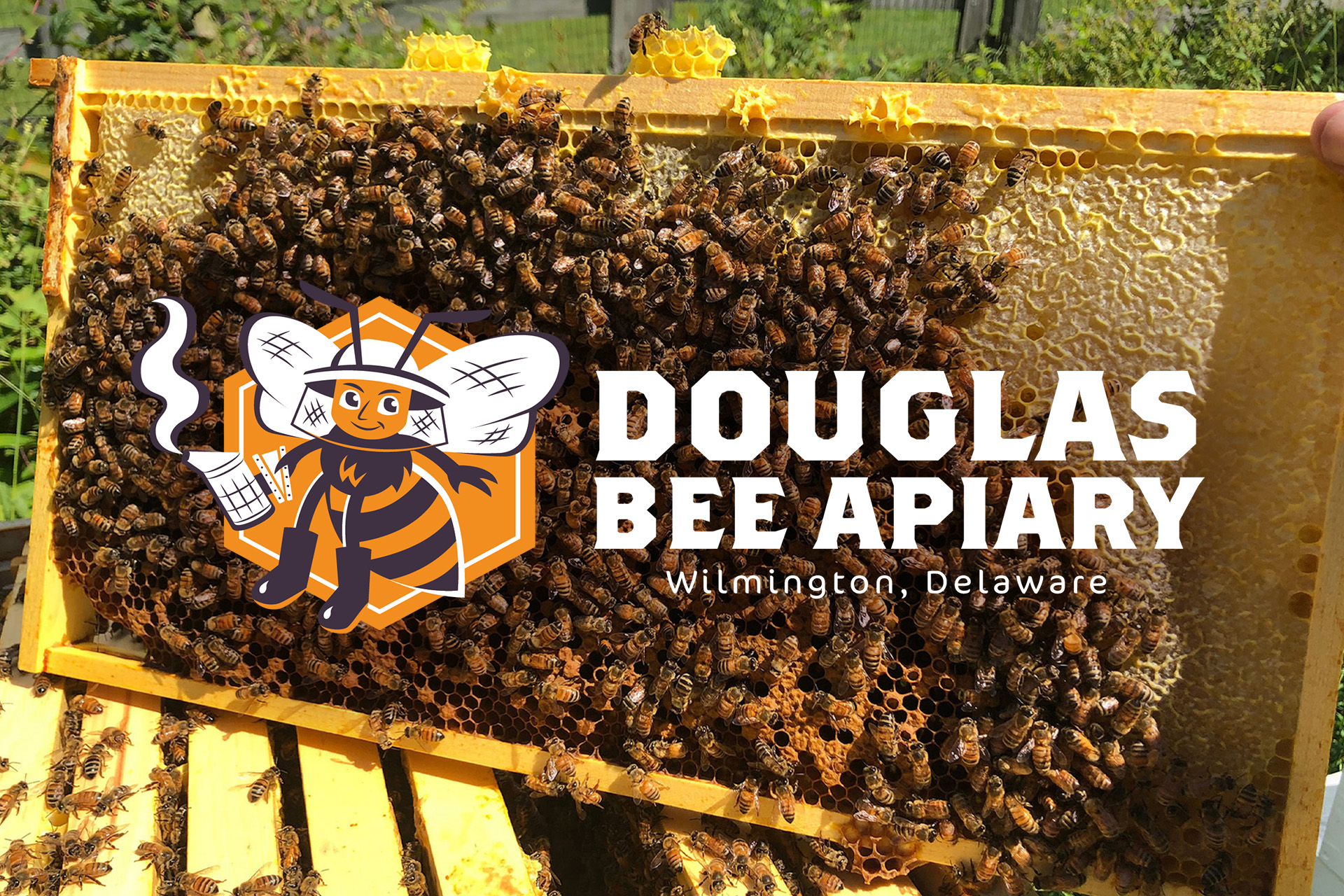 Douglas Bee Apiary Bees Frame Douglas Bee Apiary Bees Frame portfolio thumbnail