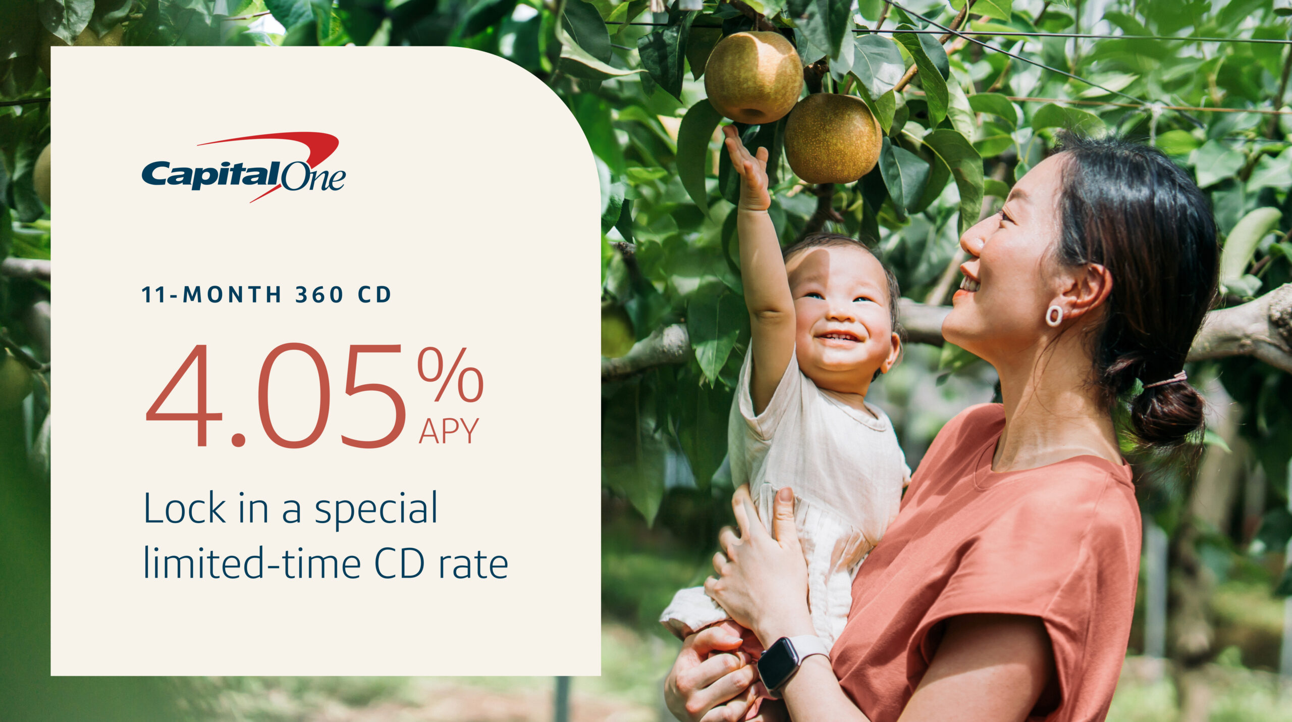 CD Price up project overview image