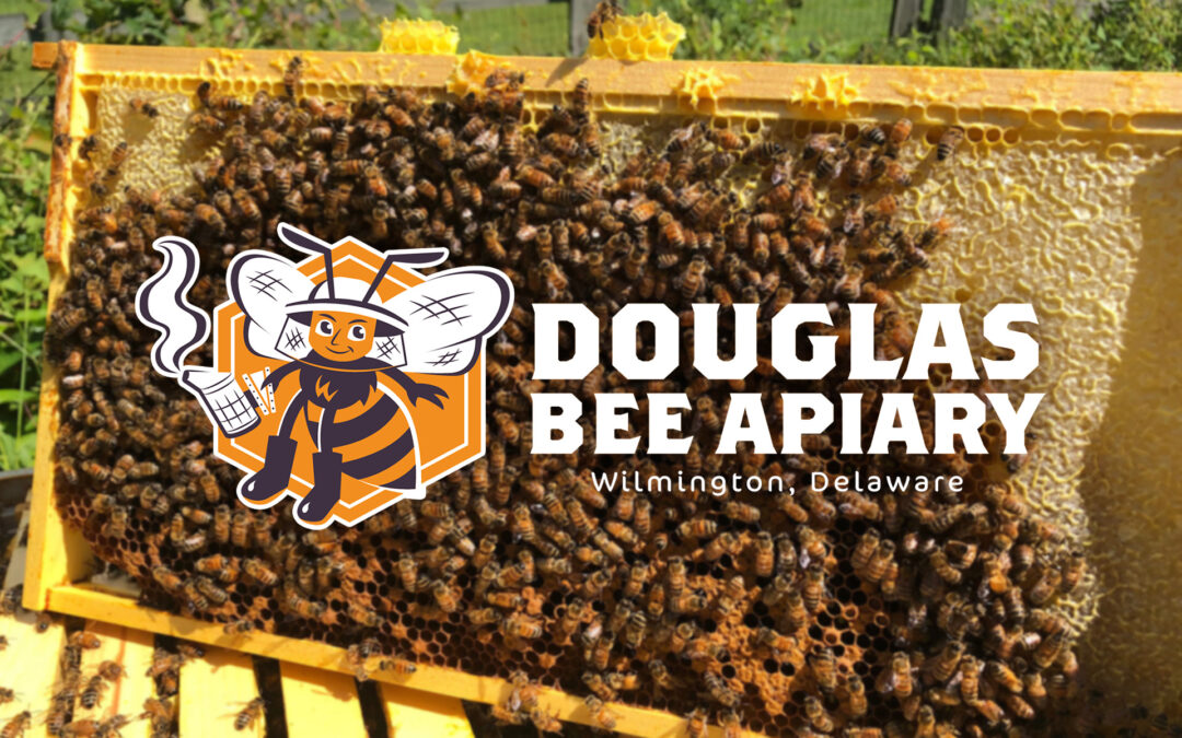 Douglas Bee Apiary Branding